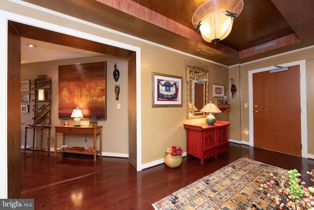 entrance foyer featuring a raised ceiling and dark hardwood / wood-style flooring