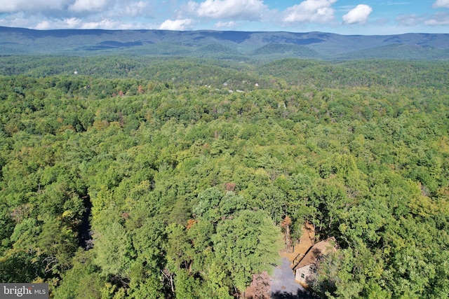 bird's eye view featuring a mountain view and a view of trees