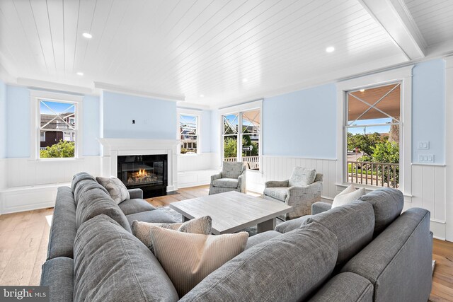 living room with light hardwood / wood-style floors