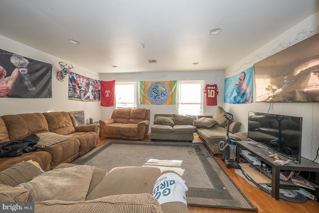 living room with wood-type flooring