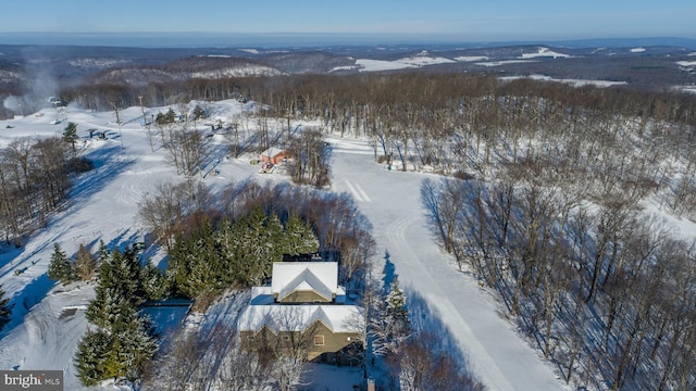 view of snowy aerial view