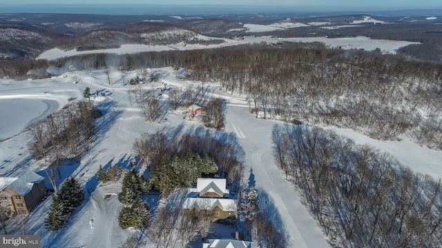 view of snowy aerial view