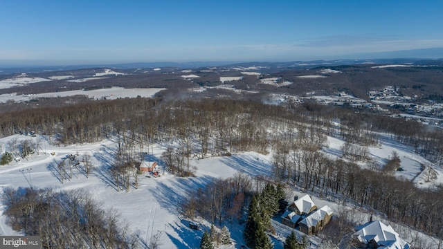 view of snowy aerial view