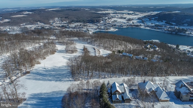 snowy aerial view with a water view