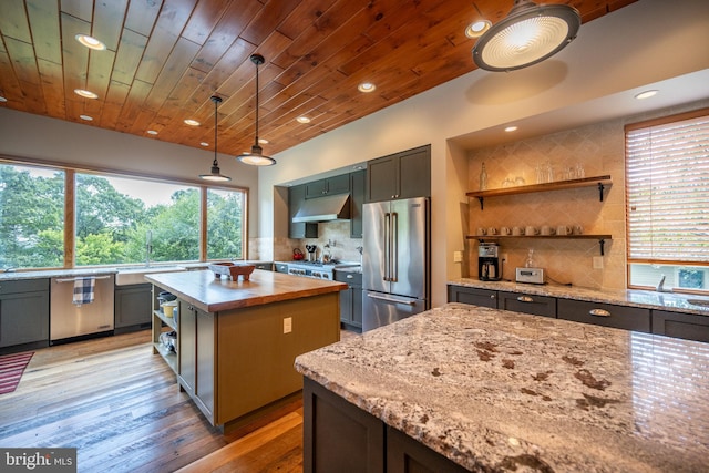 kitchen with plenty of natural light, a kitchen island, stainless steel appliances, and light hardwood / wood-style flooring