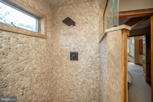 interior space featuring walk in shower