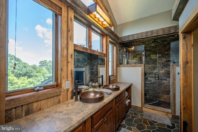 bathroom featuring vanity and a shower with shower door