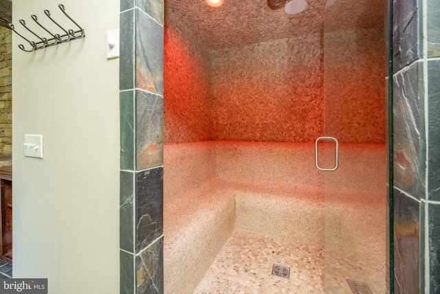 bathroom featuring a shower with shower door