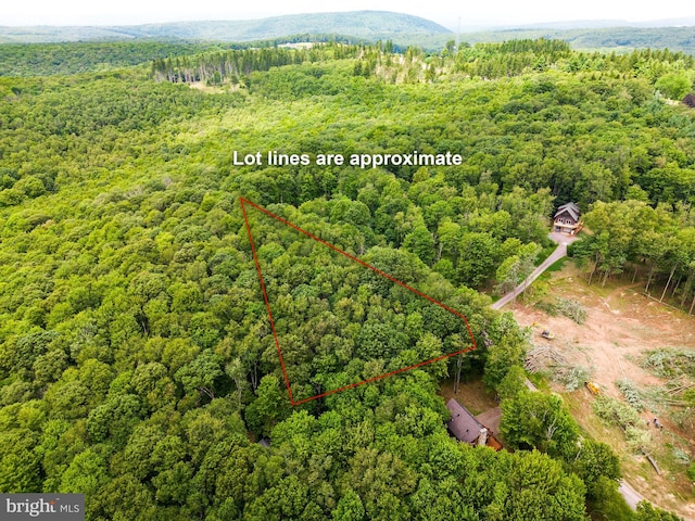 Listing photo 3 for LOT24 Moonlight Dr, Grantsville MD 21536