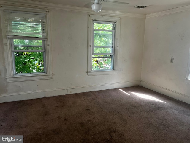 carpeted empty room featuring crown molding