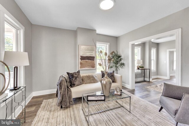 living room with wood-type flooring