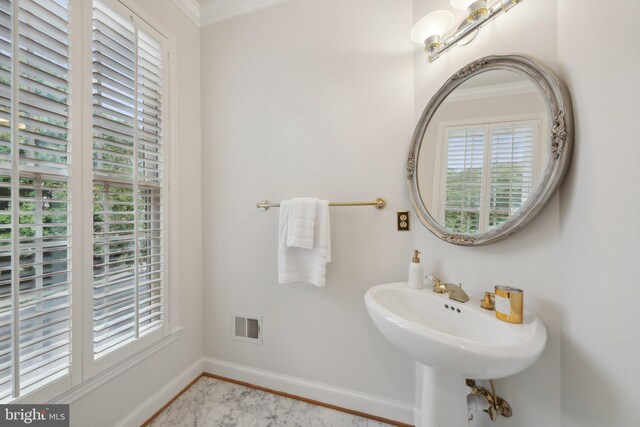 bathroom featuring ornamental molding and a healthy amount of sunlight