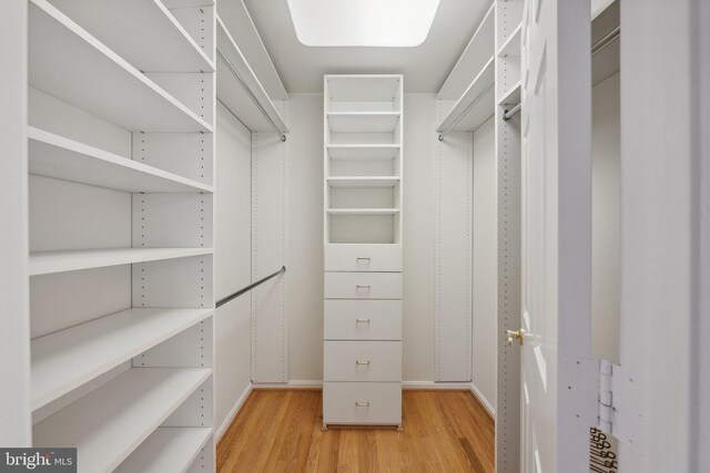 walk in closet featuring hardwood / wood-style flooring