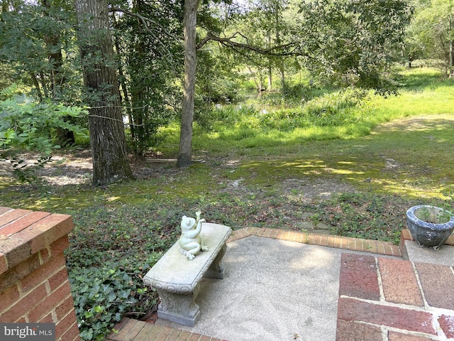 view of yard featuring a patio