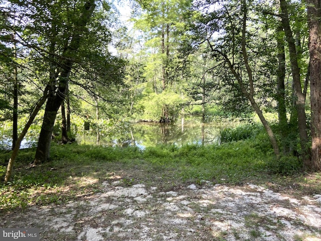 view of local wilderness with a water view