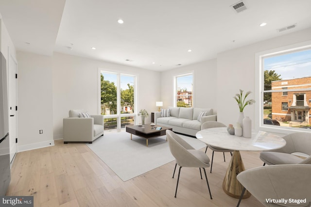 living room featuring light hardwood / wood-style flooring