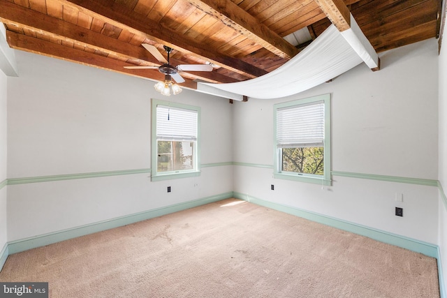 carpeted spare room with ceiling fan, plenty of natural light, wood ceiling, and beam ceiling