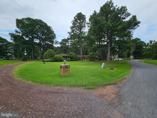 surrounding community with driveway and a yard