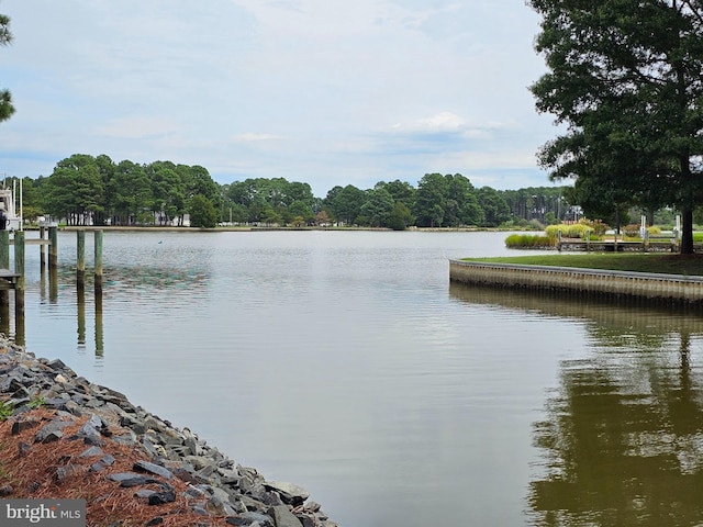 view of water feature