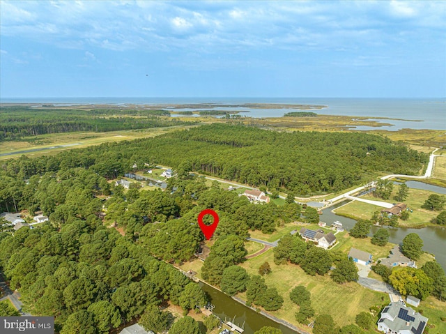 aerial view with a water view and a view of trees