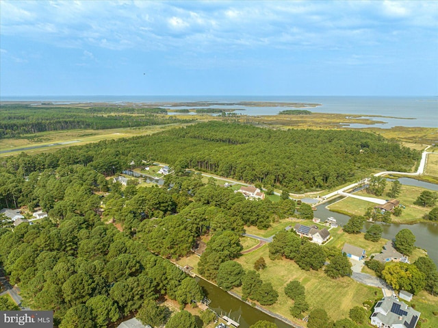 bird's eye view with a water view and a forest view