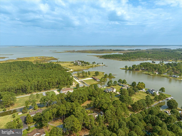 aerial view featuring a water view and a view of trees