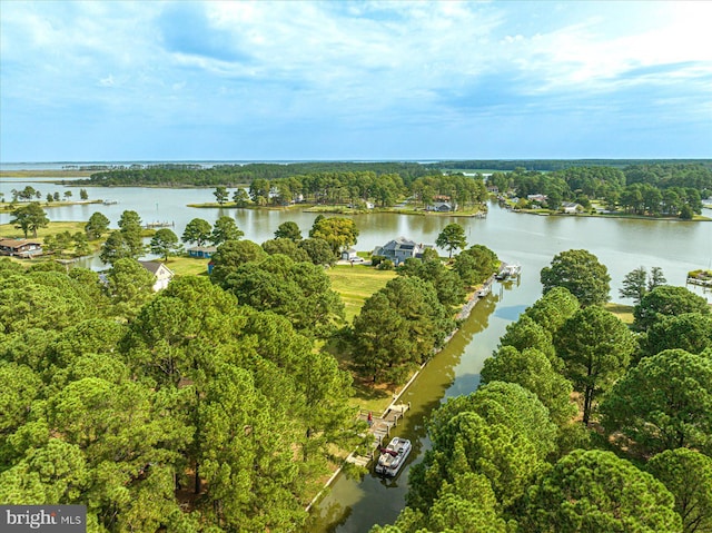 birds eye view of property with a water view and a wooded view