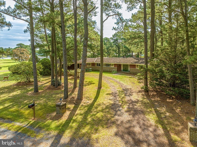 view of front of home featuring dirt driveway and a front yard