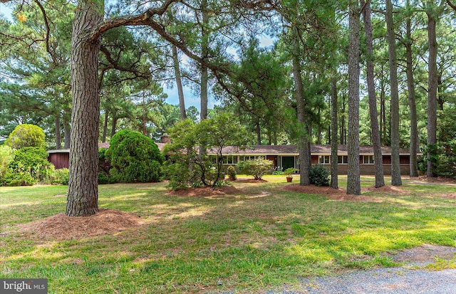 ranch-style home with a front yard