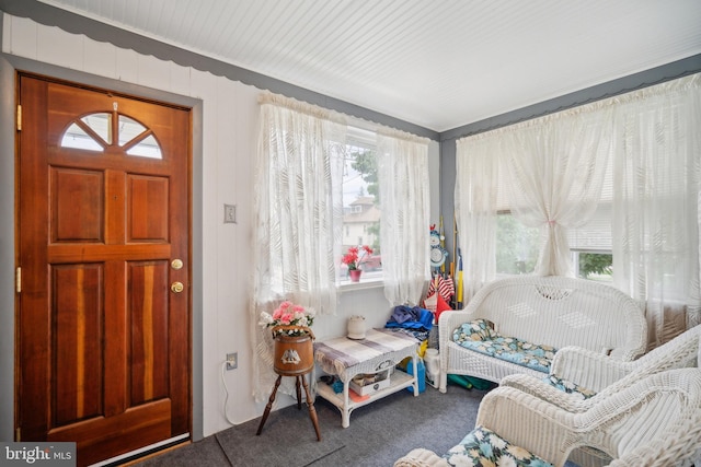 foyer with carpet floors and a healthy amount of sunlight