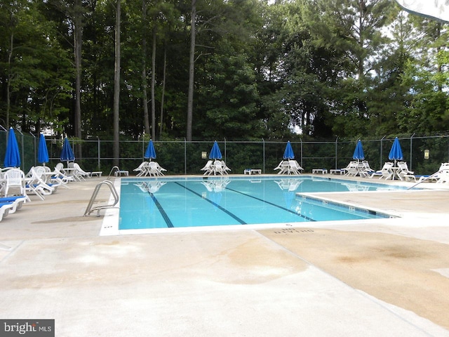 view of pool featuring a patio