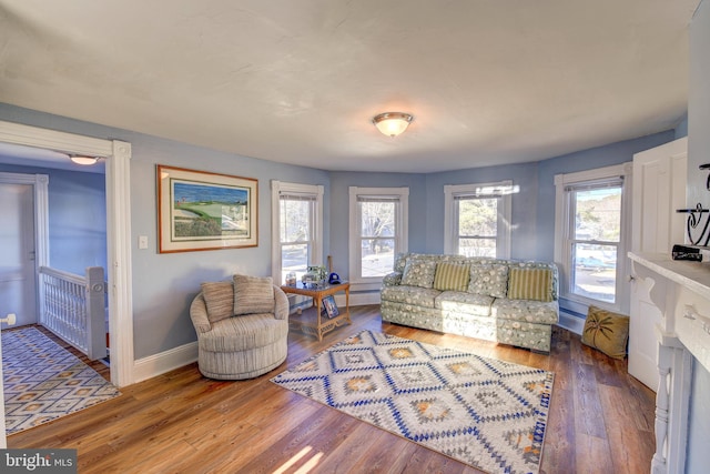 living room with wood-type flooring and a wealth of natural light