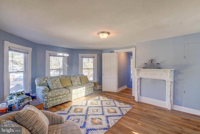 living room featuring plenty of natural light and wood-type flooring