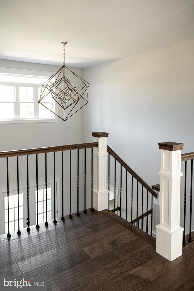 stairway with hardwood / wood-style flooring