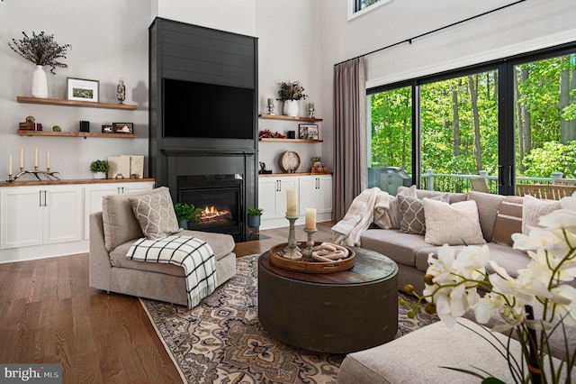 living room featuring dark hardwood / wood-style floors