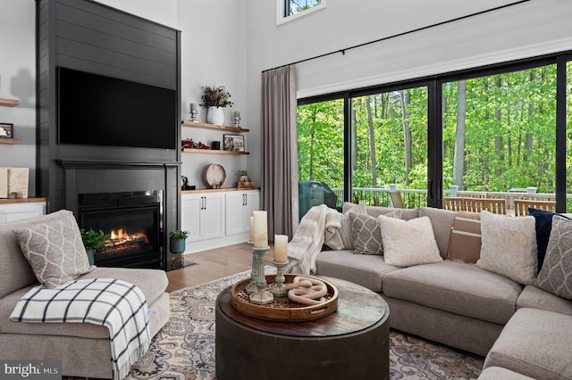 living room featuring wood-type flooring