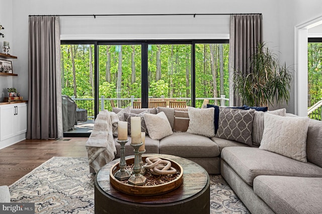 living room with hardwood / wood-style floors