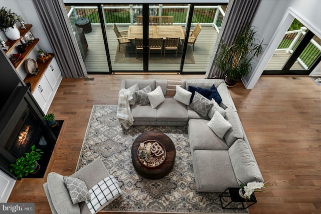 living room with a healthy amount of sunlight and wood-type flooring