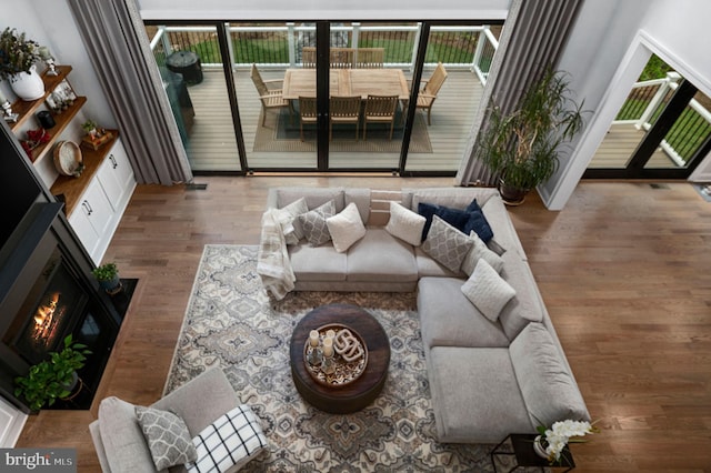 living room featuring hardwood / wood-style flooring and plenty of natural light