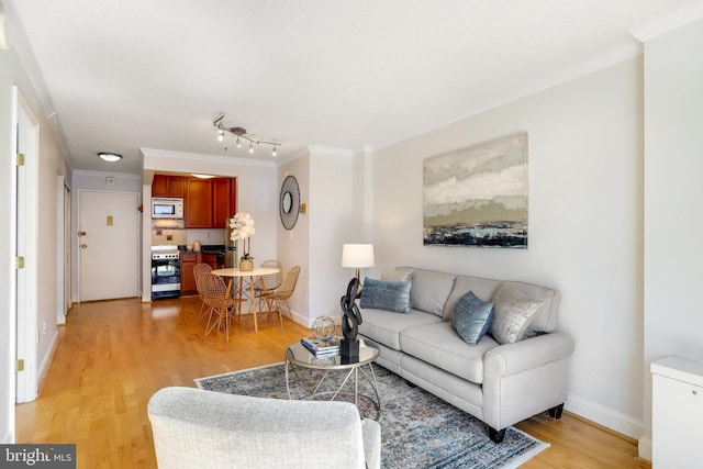 living room featuring crown molding and light hardwood / wood-style flooring