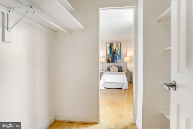 spacious closet featuring light hardwood / wood-style floors