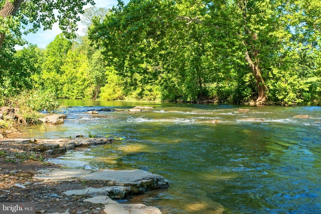 property view of water featuring a view of trees