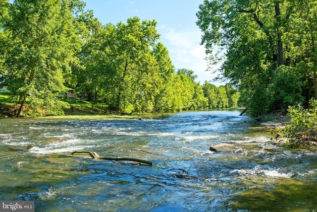 water view with a wooded view