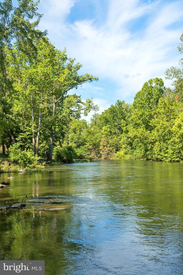 property view of water with a forest view