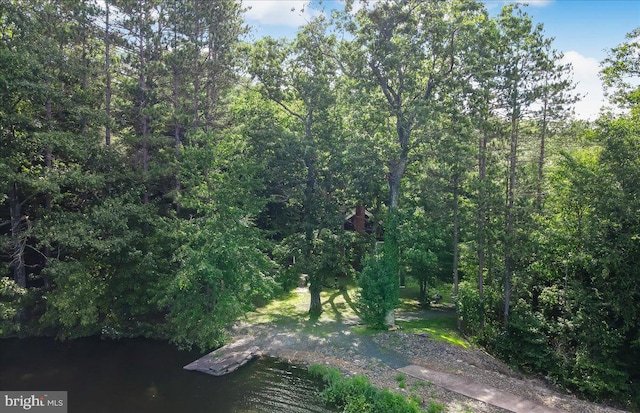 view of landscape with a water view