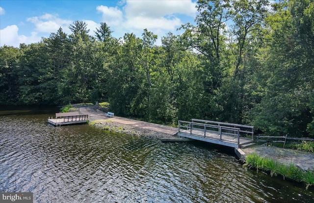 dock area with a water view