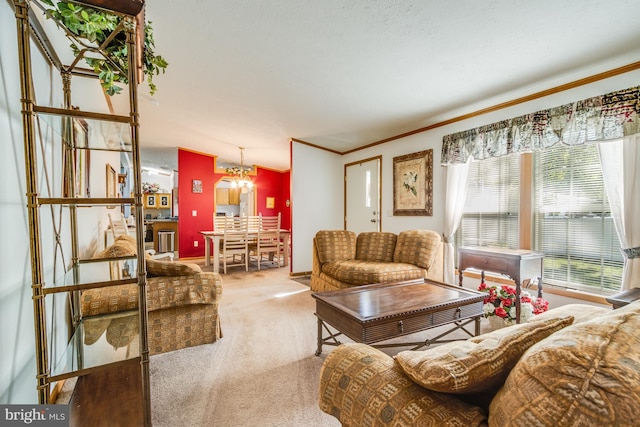 carpeted living room with crown molding