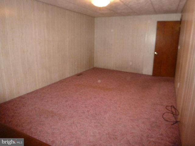 empty room featuring wooden walls and carpet flooring