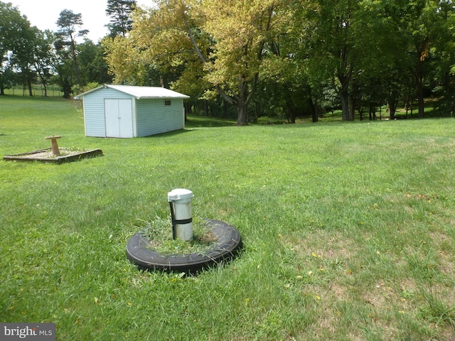 view of yard with a storage unit