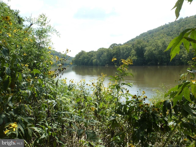 water view featuring a mountain view